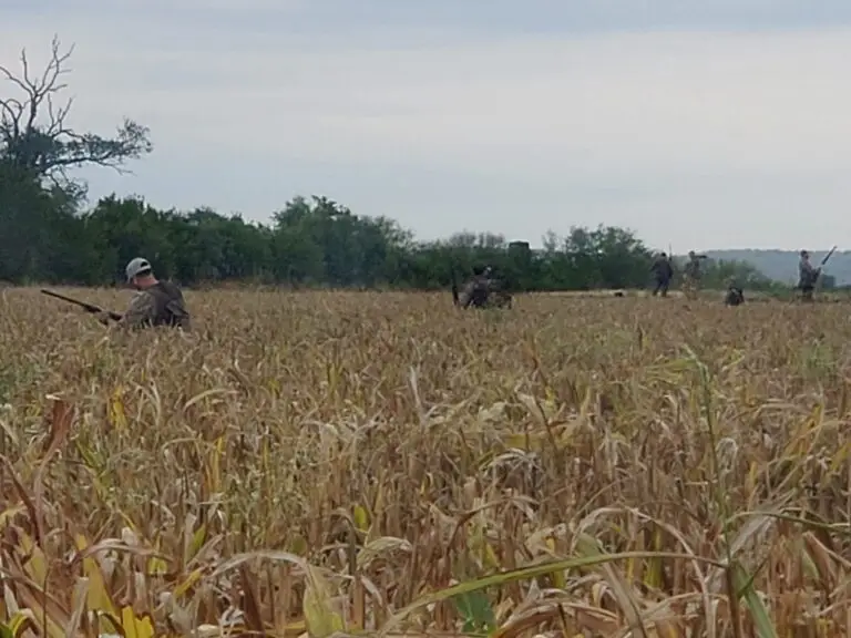 dove-field-hunters