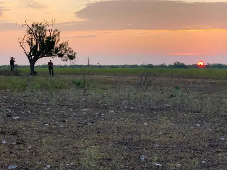 dove-hunt-sunrise